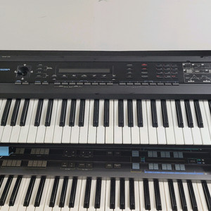 로렌드중급D50
