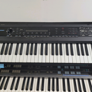 로렌드중급D50