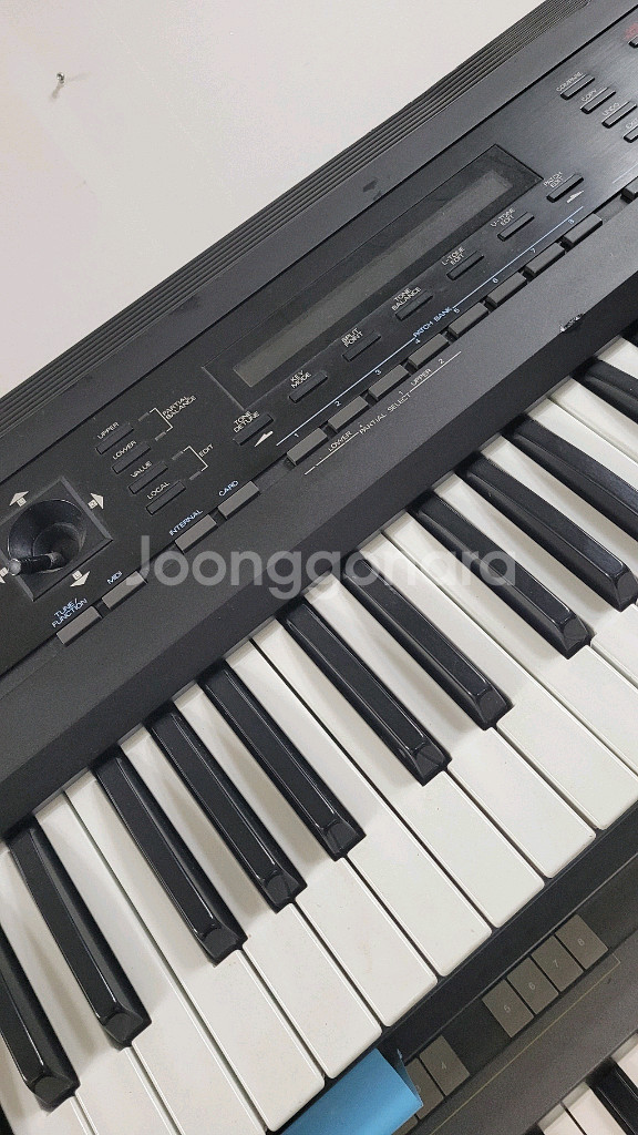 로렌드중급D50--5
