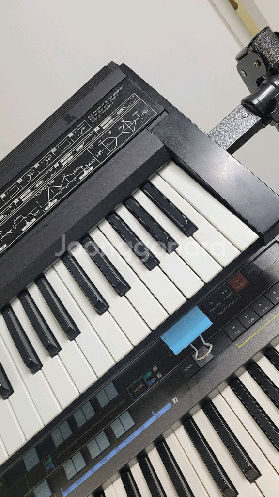 로렌드중급D50--7