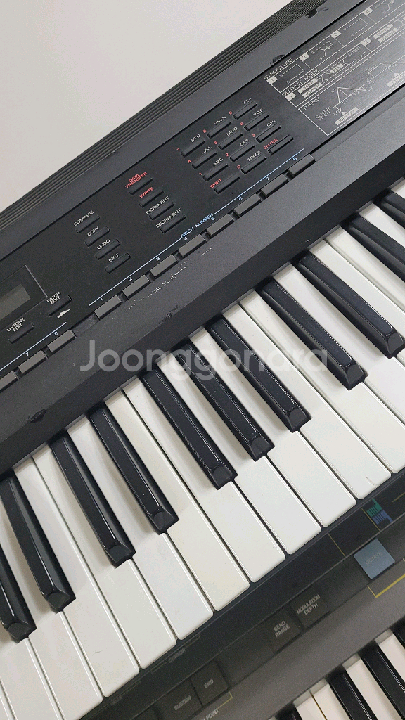 로렌드중급D50--6