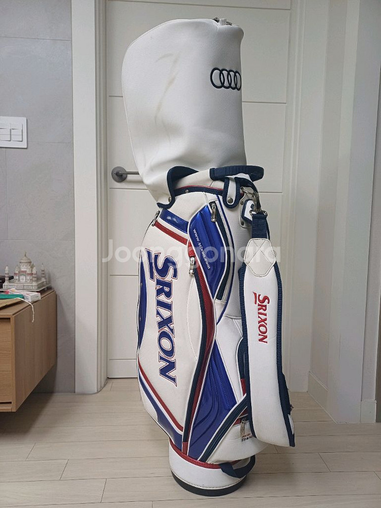 스릭슨/아우디 콜라보 캐디백--2