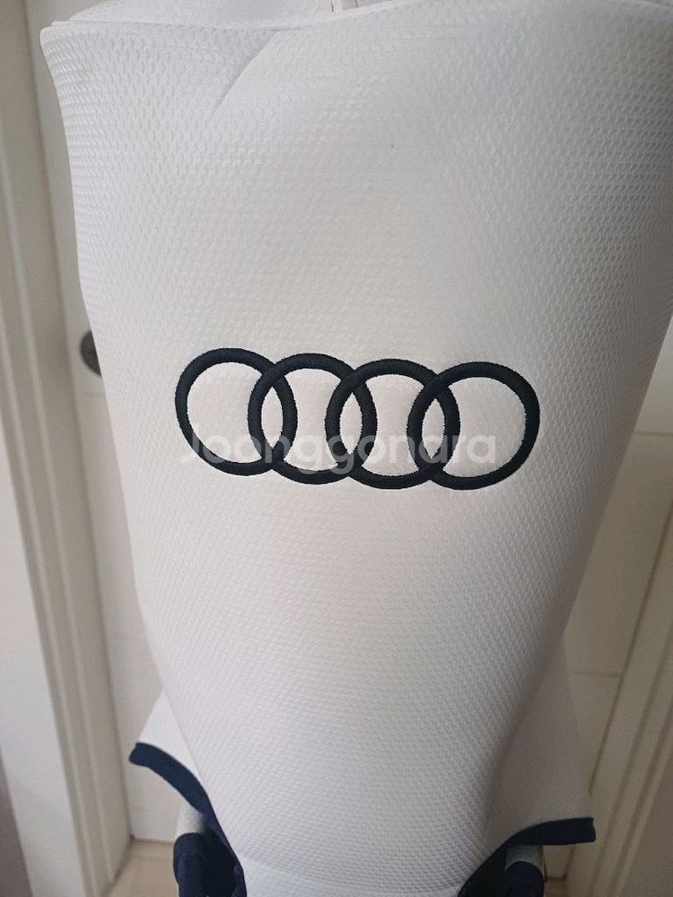 스릭슨/아우디 콜라보 캐디백--6