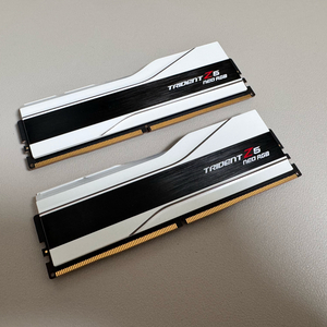 지스킬 DDR5 6000 cl26 1.45v 32gb
