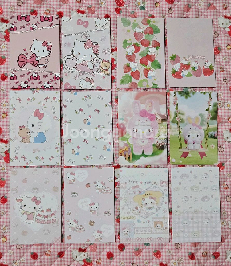 산리오 키티 양면 바인더 대지--0