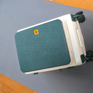 코닥 캐리어 20인치 기내용