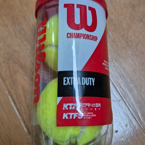 윌슨 테니스공 2개 미사용