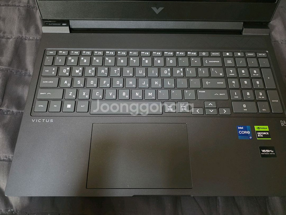 HP 빅터스 게이밍 노트북 i7-13700HX--10