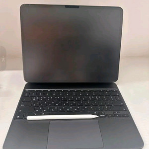 m4 아이패드 프로 13 1tb, 애케플 포함