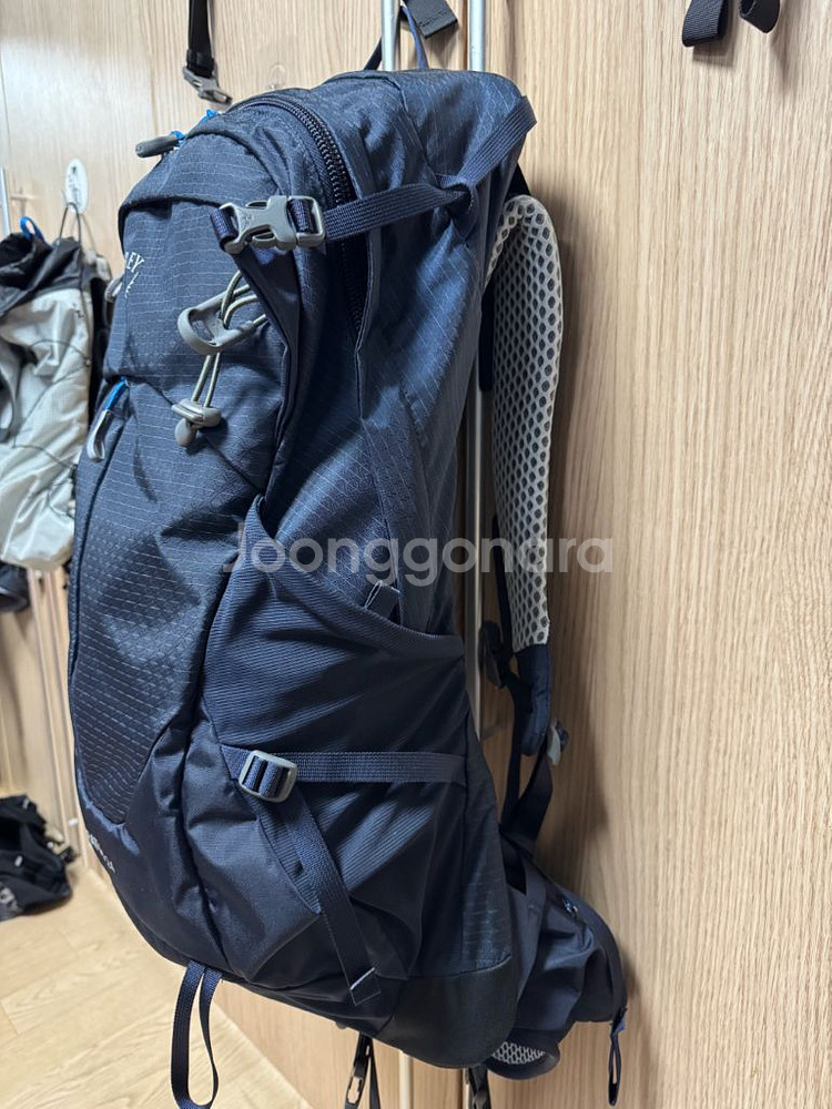 오스프리 스트라토스 24L 블루--2