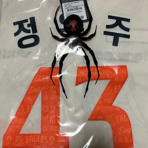 한화이글스 40주년 레거시 어센틱 정우주 110