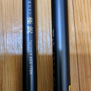 다이와 교쿠에이 타코이카 AGS 170H