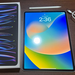 아이패드 프로 12.9 6세대 실버 256GB WiFi