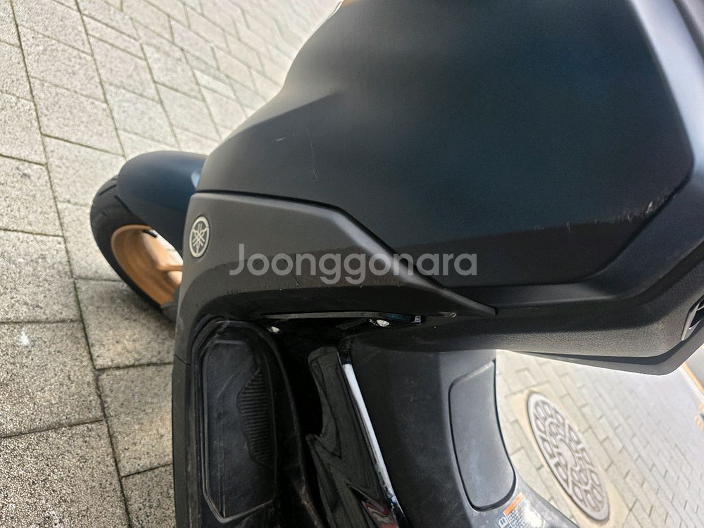 24년식 엔맥스 155cc--3