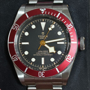 튜더 블랙베이 41 버건디