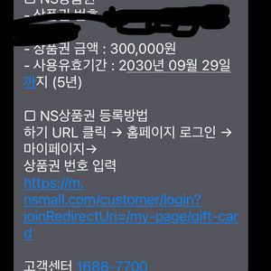 ns상품권 30만원권