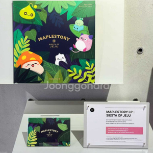 메이플스토리 제주 LP 시에스타 새상품