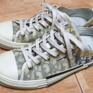 디올 오블리크 42(260~265추천)