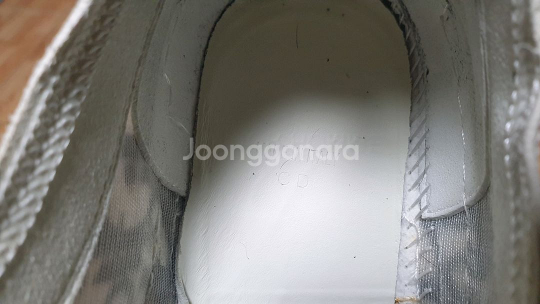 디올 오블리크 42(260~265추천)--5