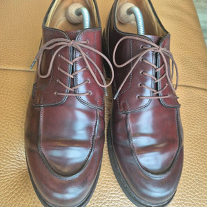 파라부트 샴보드 코도반 UK8