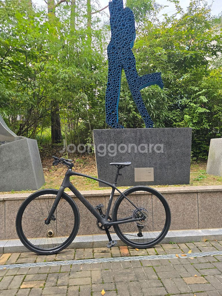 25년형 트렉 FX4 하이브리드 L팝니다.--7