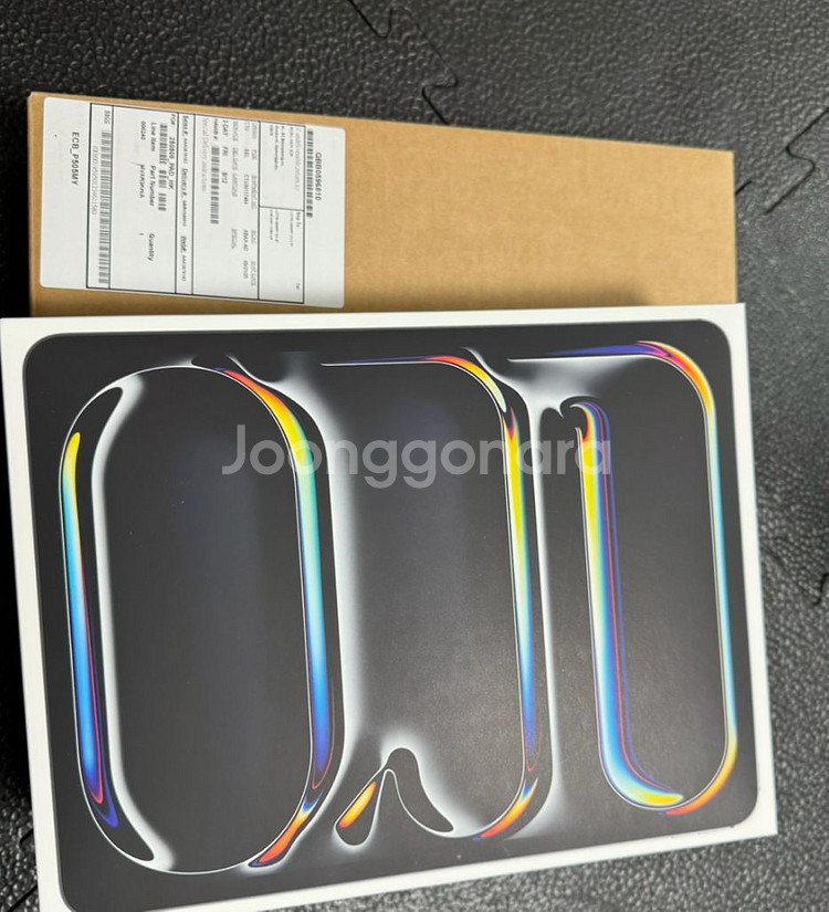 아이패드프로M4 13인치 256GB 셀룰러 스페이스블랙--4