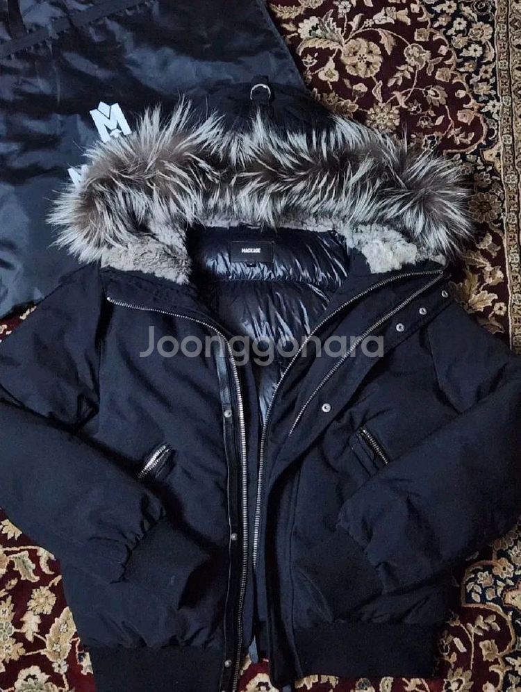 멕케이지 딕슨 40--0