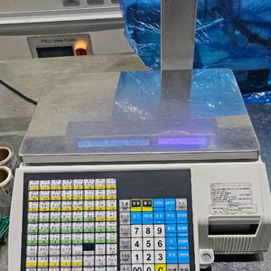 카스저울 CL5500-15P