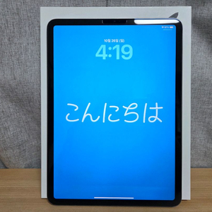 아이패드프로4세대 m2 11인치128GB wifi팝니다