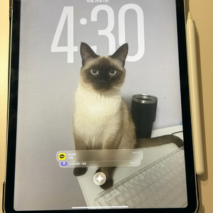 아이패드 프로11인치 m1 128gb