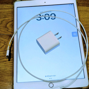 iPad 8세대 32GB + wifi 로즈골드