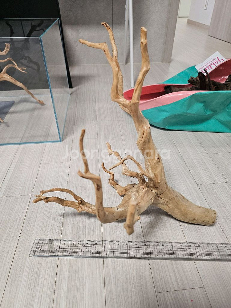 미사용 가지 유목--1