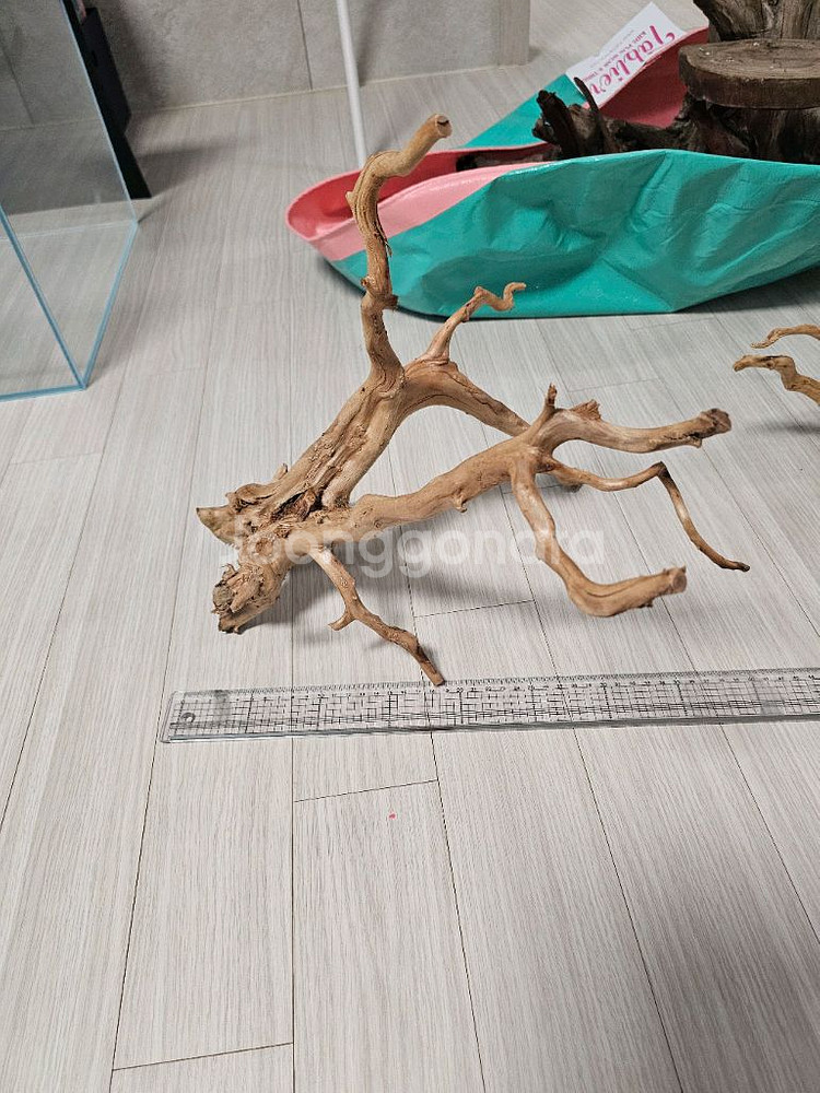 미사용 가지 유목--3