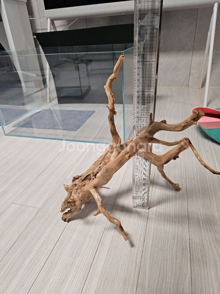 미사용 가지 유목--4