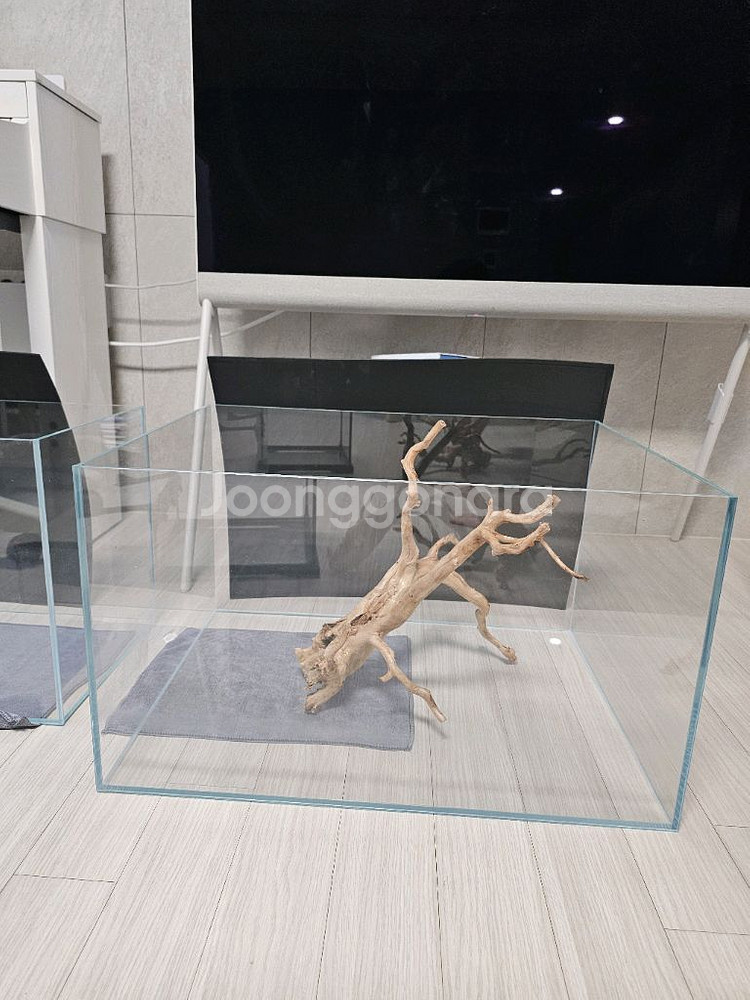 칸후 올디아망 수조--2