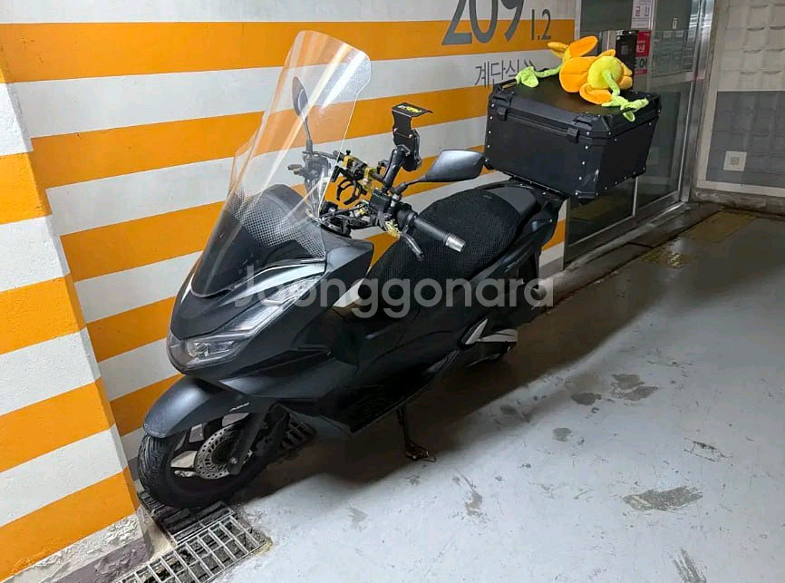 혼다 pcx125 23년식--0