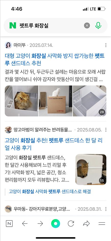 펫트루 고양이 사막화방지 화장실--3