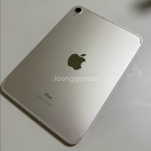 (구매)아이패드 미니6 wifi 256 + 애플펜슬