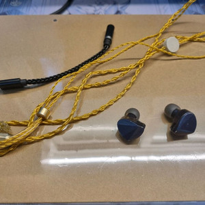 이어폰 + 이어폰 케이블