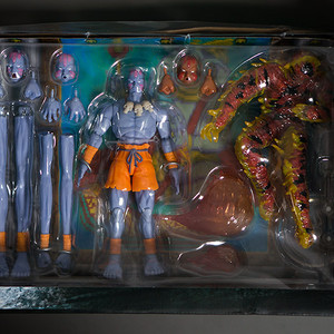 JADA 자다 달심 SDCC 스트리트 파이터 피규어