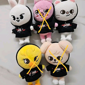 스트레이키즈 스키주 미니