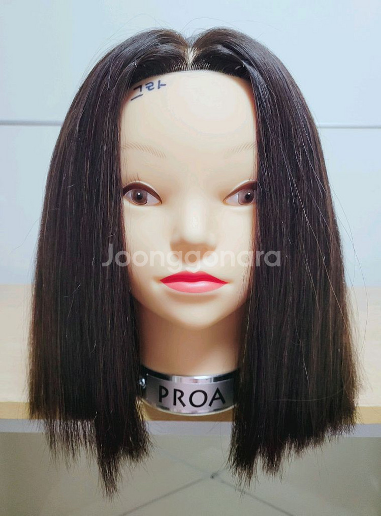 프로아 통가발 인모100%--0