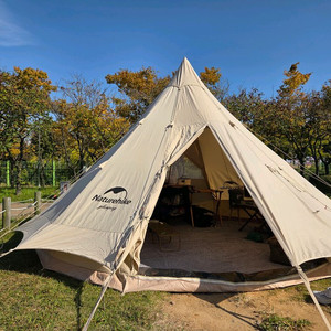 브라이튼 12.3(a폴, 타프, tpu창 포함)