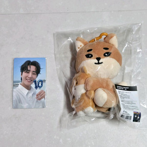 데이식스 데니멀즈 마그넷 케 영케이포카 일괄