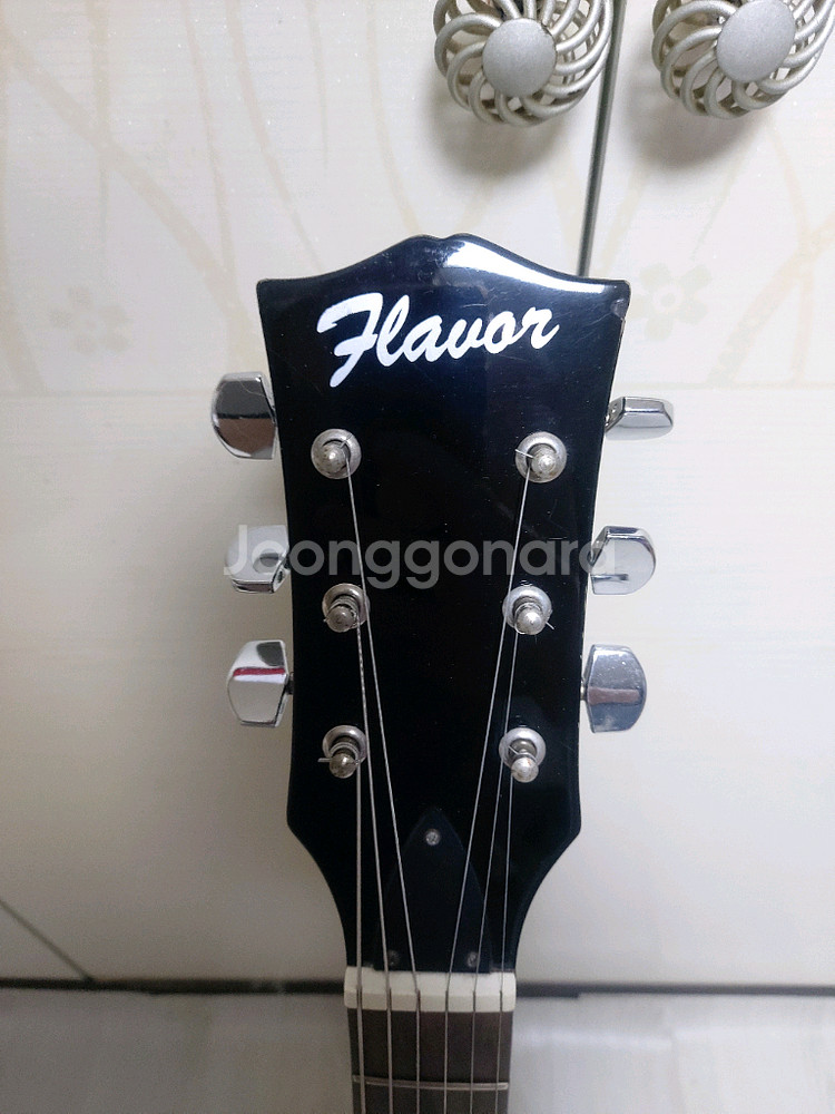 Flavor 레스폴 일렉기타 + 가방--2