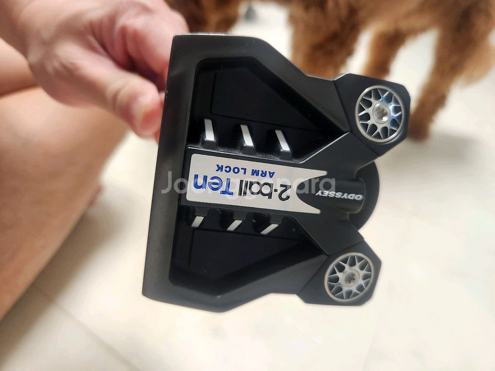 투볼텐 암락퍼터--2