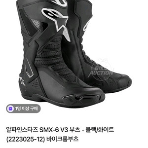 알파인스타즈 롱부츠