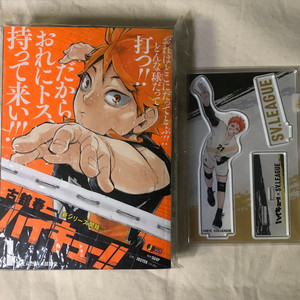 하이큐 리믹스 1권, 히나타 SV 리그 아크릴 일괄