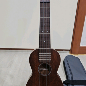 마틴 싱커 마호가니 소프라노 우쿨렐레