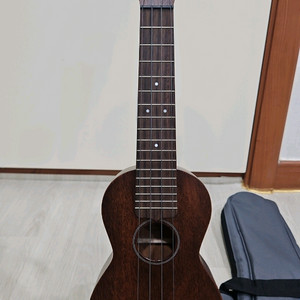 마틴 싱커 마호가니 소프라노 우쿨렐레